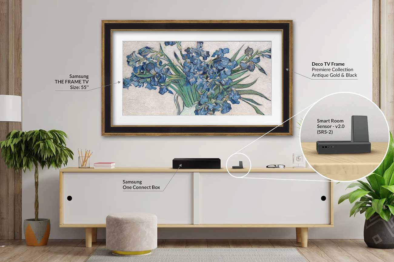 Frame My TV - SRS-2 - Audio/Video Distribution