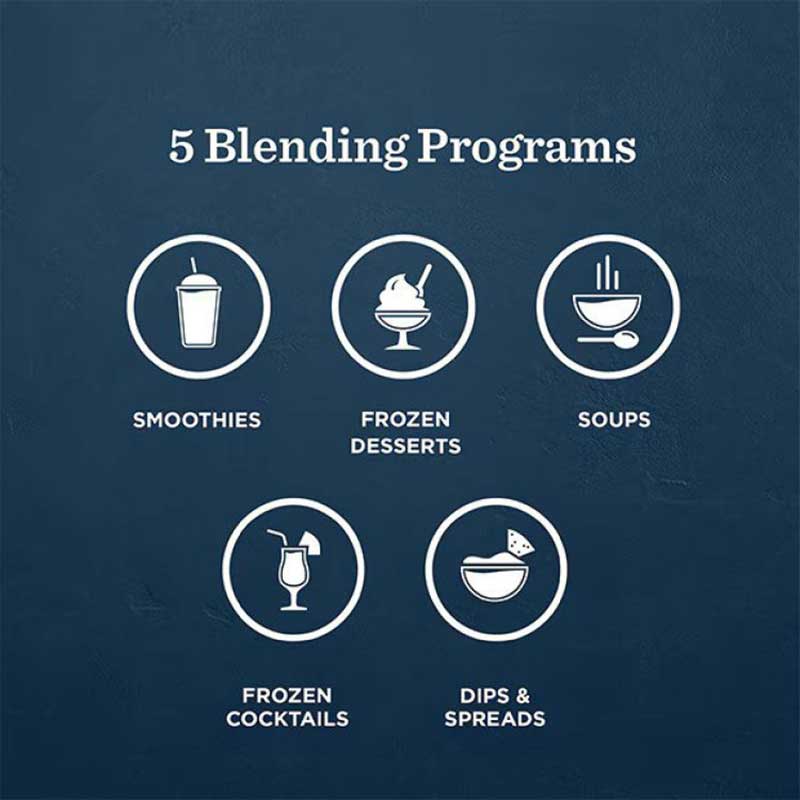 Programs View of Vitamix Blender