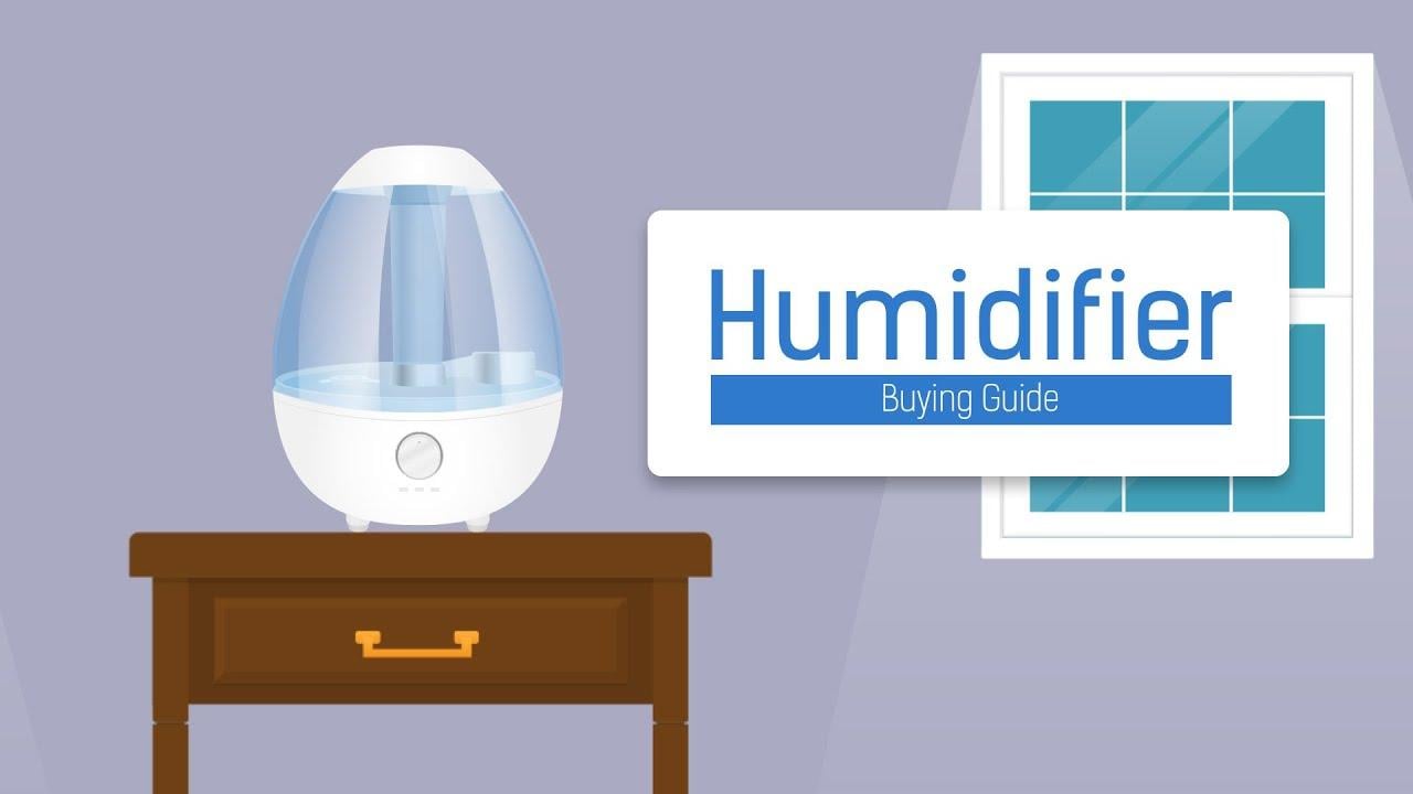 Basic Humidifier Buying Guide Video