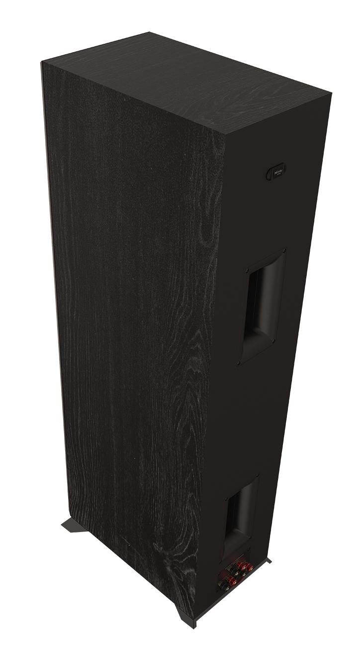 Rear Angled View Image of Floorstanding Speaker
