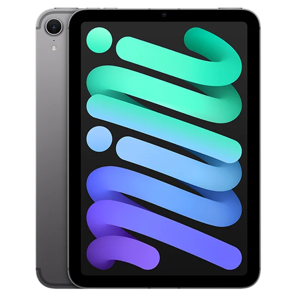 iPad mini in Space Gray