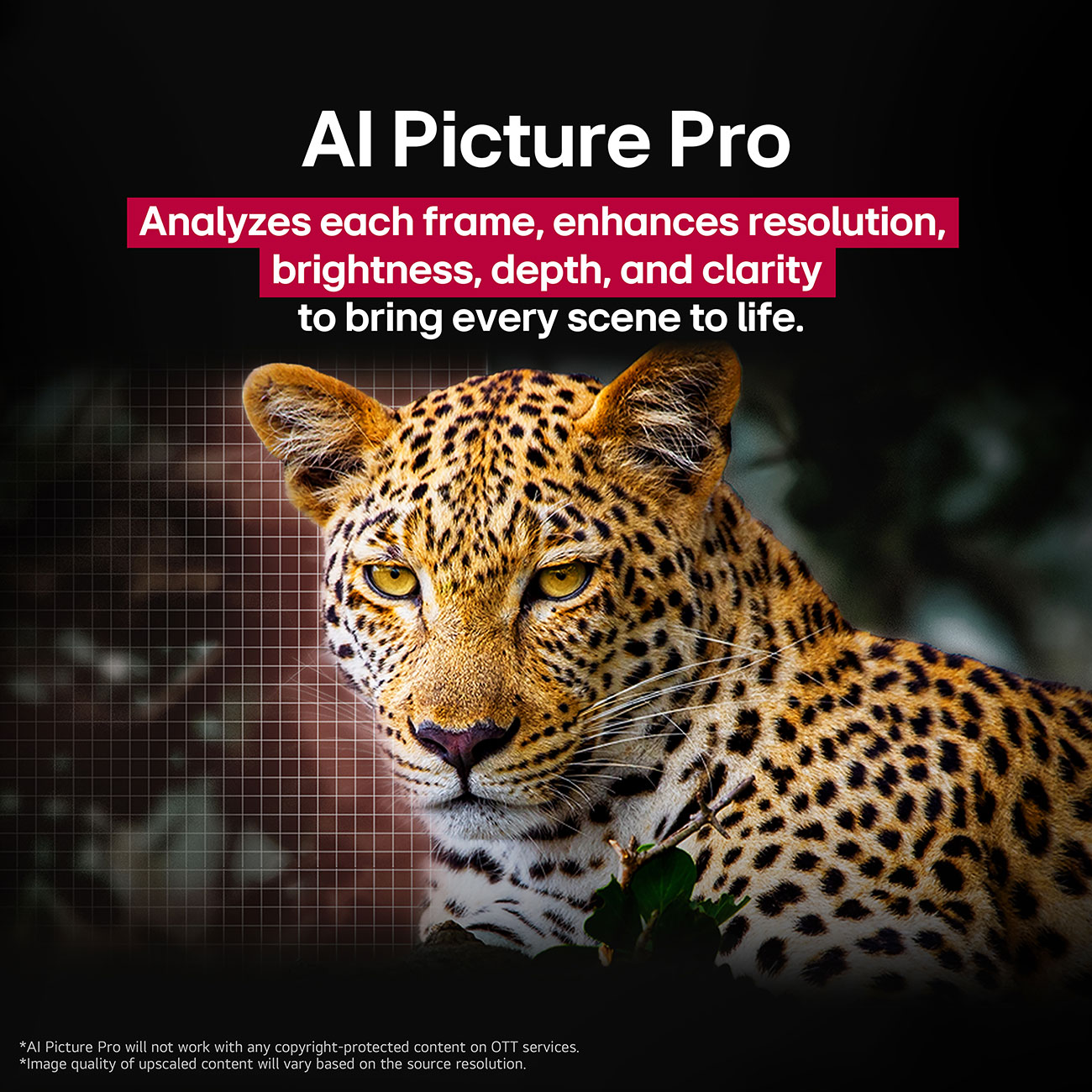Infographic View of LG OLED 4K Smart TV AI Picture Feature