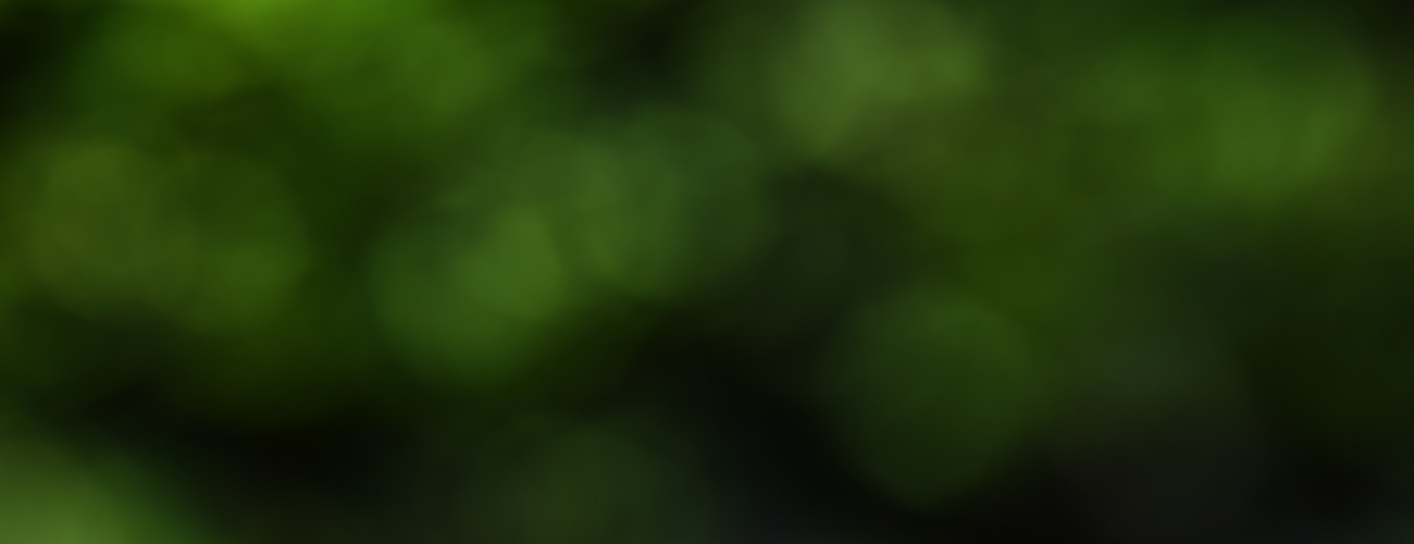 Decorative green graphic banner