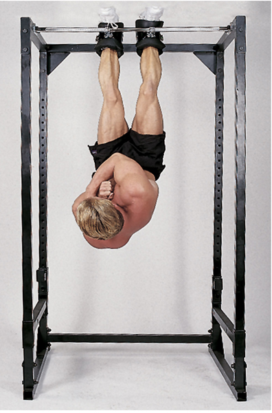 Body-Solid - GIB2 - Workout Accessories