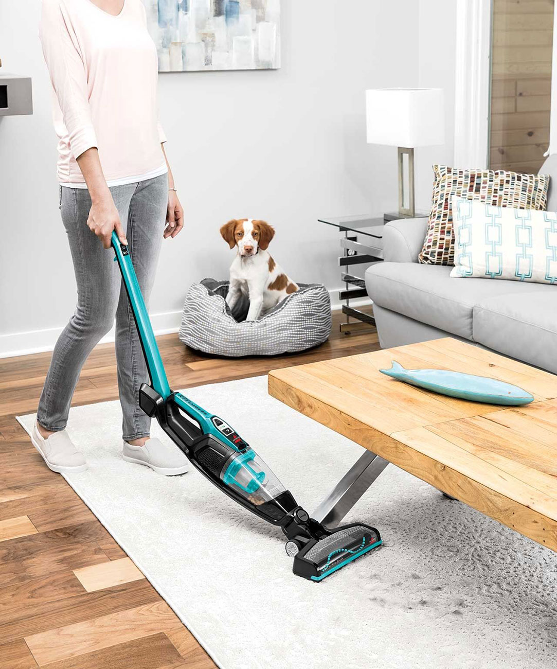 Cordless Stick Vacuum in-real Life Setting Detail 1