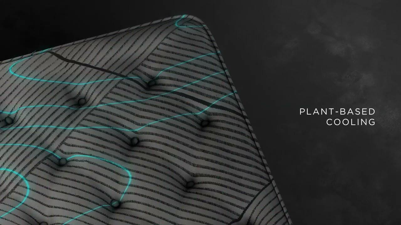 Watch BRB22 Black L Class Product Video