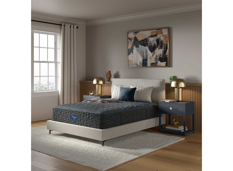 Beautyrest Mattress - Level Two - Medium - Queen - 700812798-1050
