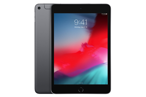 Apple Ipad Mini 256gb Wi Fi Cellular Space Gray Muxm2ll A Apple Ipad Mini 256gb Wi Fi Cellular Space Gray Muxm2ll A