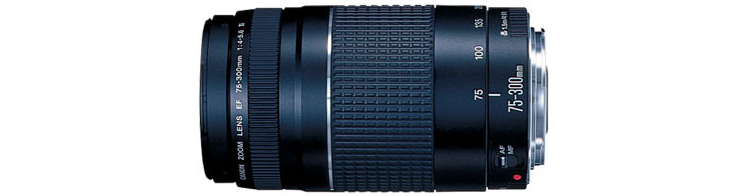 Canon Ef 75 300mm Telephoto Zoom Camera Lens 6473a003 Canon Ef 75 300mm Telephoto Zoom Camera Lens 6473a003