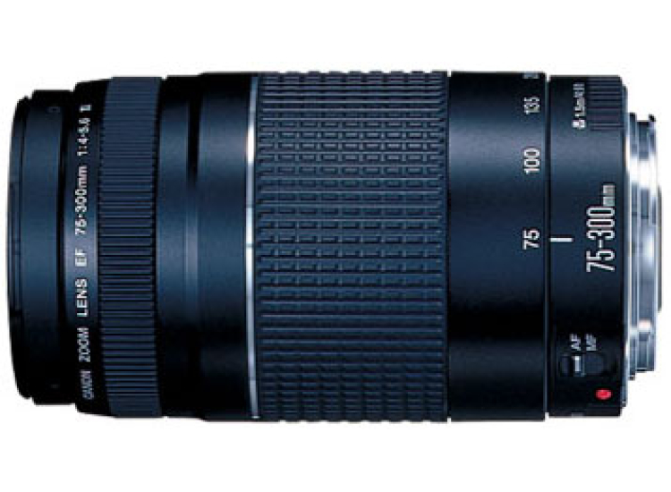 Canon Ef 75 300mm Telephoto Zoom Camera Lens 6473a003 Canon Ef 75 300mm Telephoto Zoom Camera Lens 6473a003