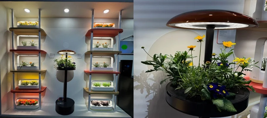 Side-by-side photos of the LG indoor gardening appliance from different angles