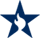 Bluestar Star
