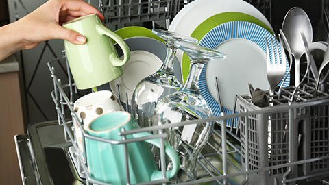 Thermador 24" Stainless Dishwasher DWHD560CFP Abt