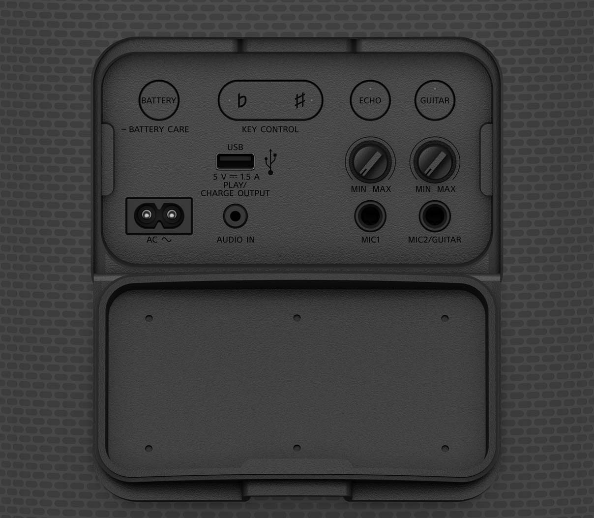 Rear Interface View of Sony Speaker