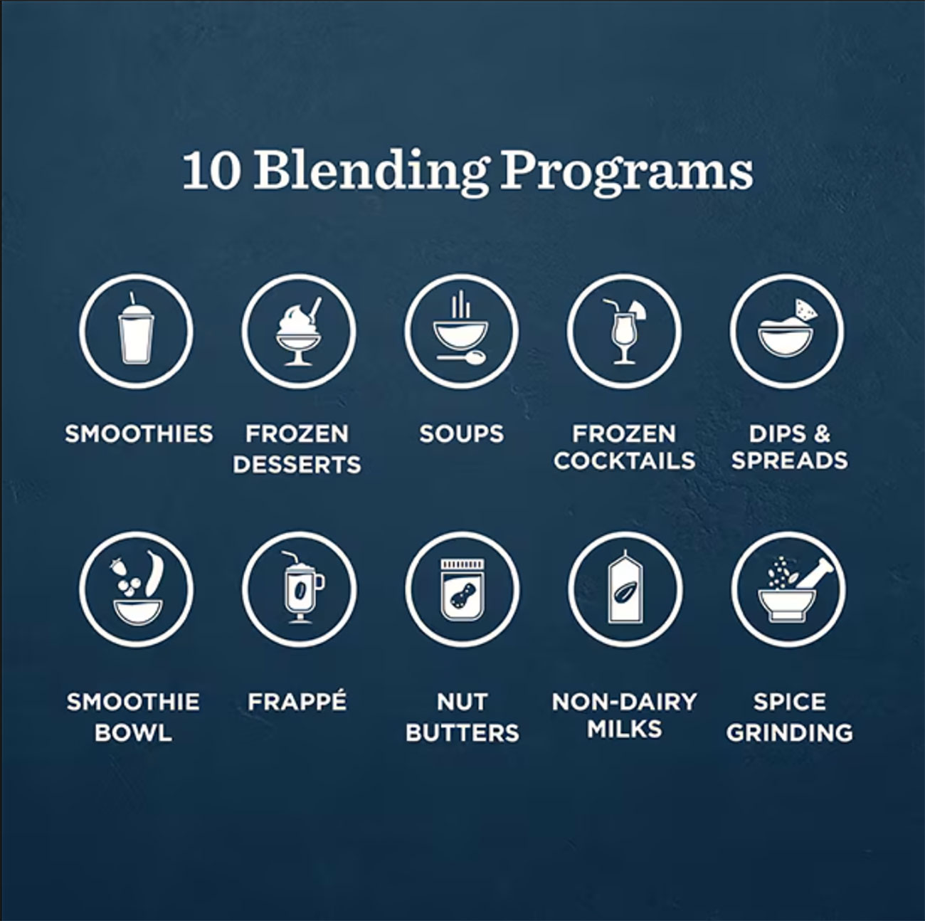 Infographic view of Vitamix Ascent X5 programs