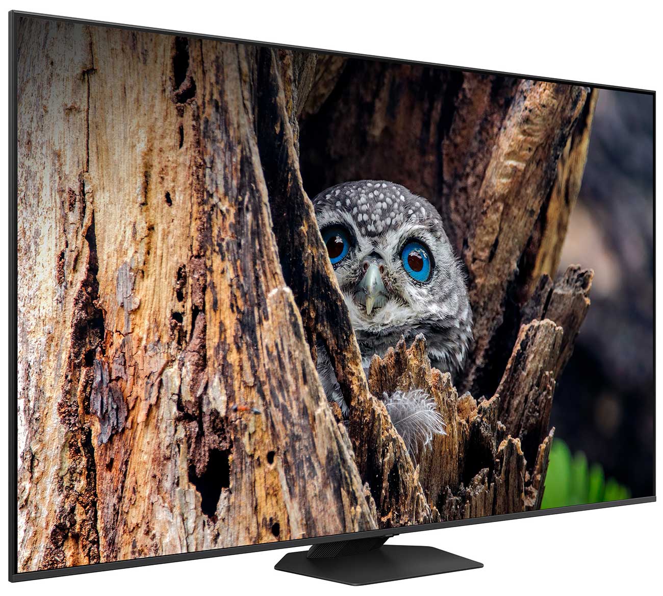 Dynamic Left View Of The TV