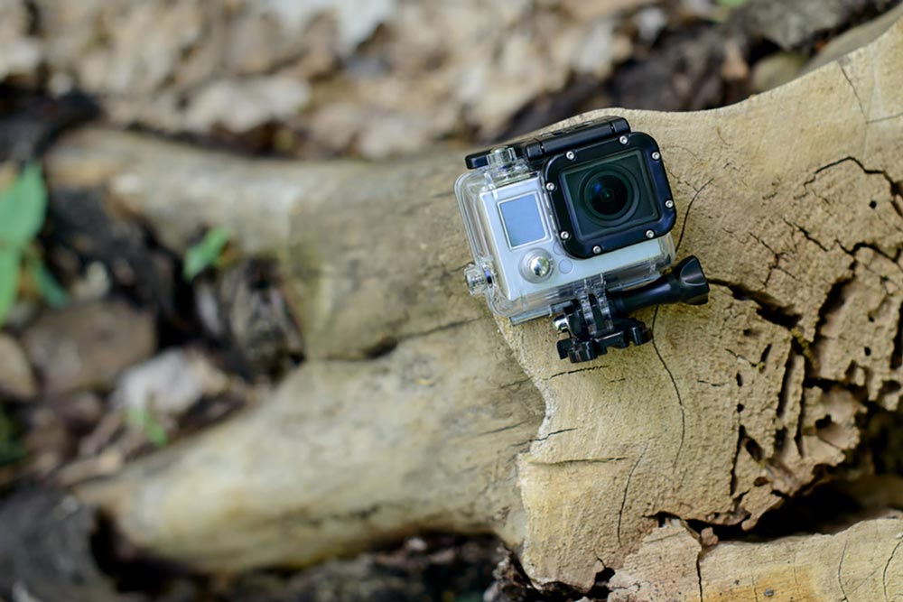 GoPro action camera in waterproof housing on tree stump