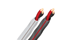 Speaker Wire