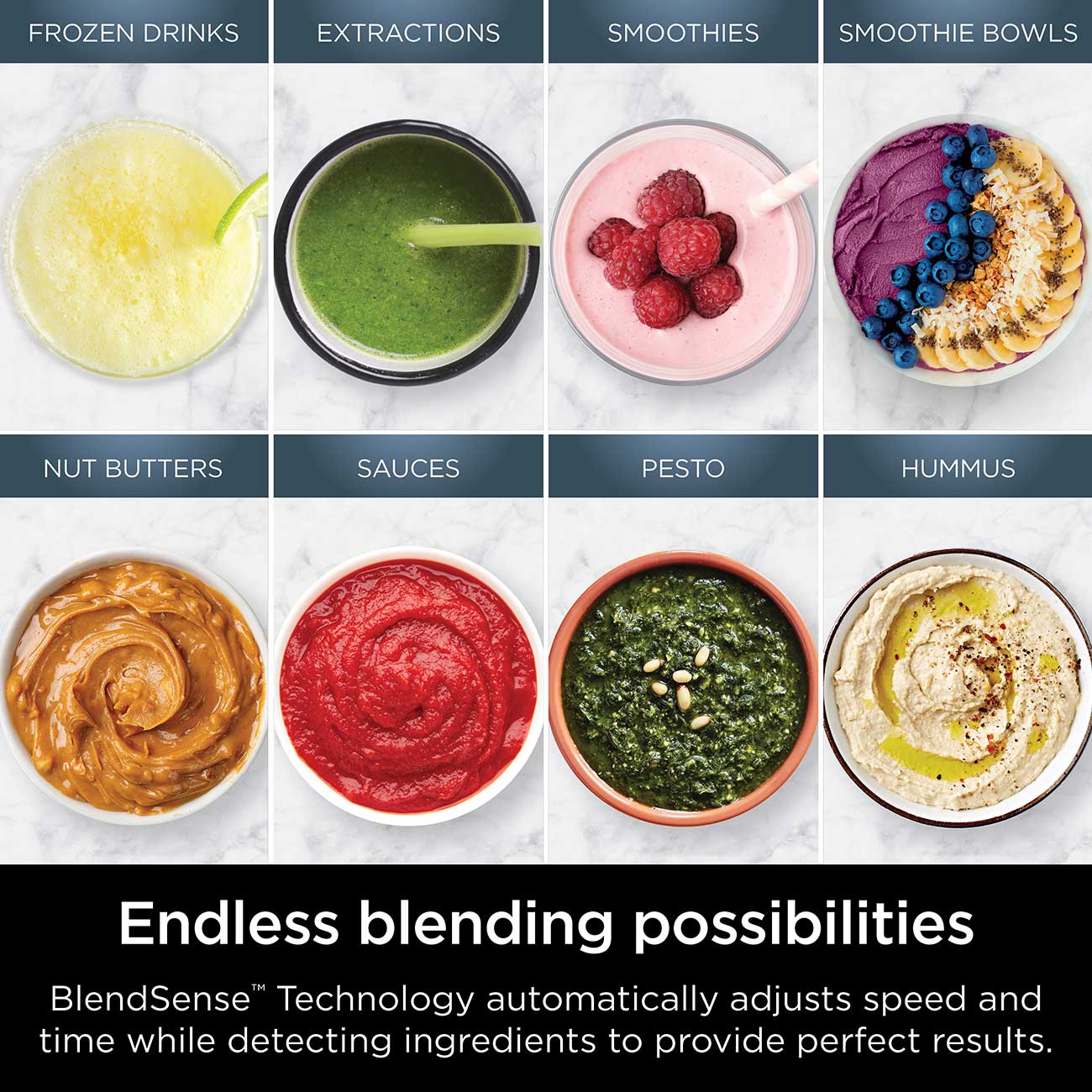 Ninja - TB301 - Blenders