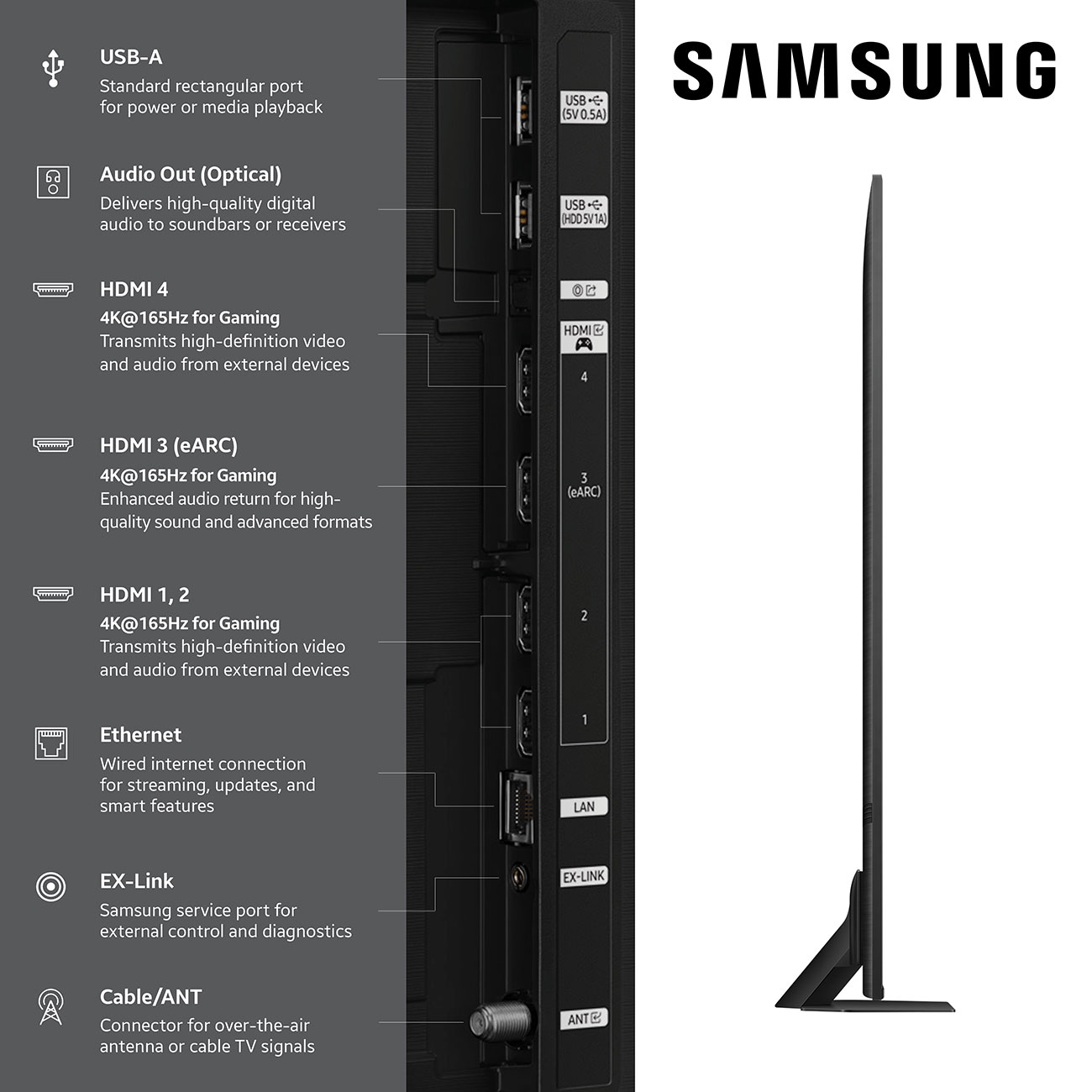 Close Up View Of The TV Ports