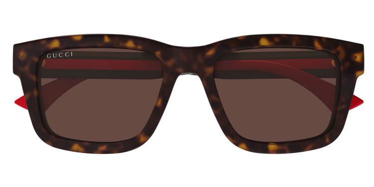 Gucci Sign Sunglasses 53mm in Havana|Brown - GG1869S-002 display picture 3