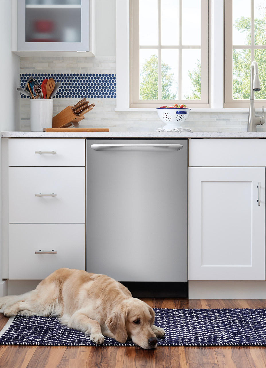 A golden retriever sits on the kitchen runner in front of a stainless steel frigidaire gallery dishwasher
