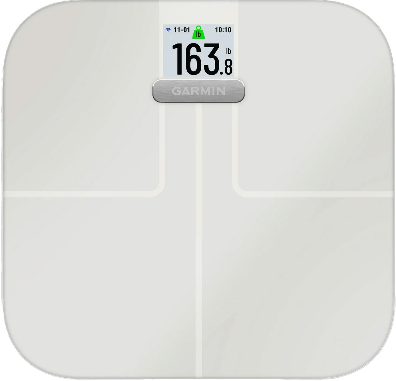Main View of Garmin Scale