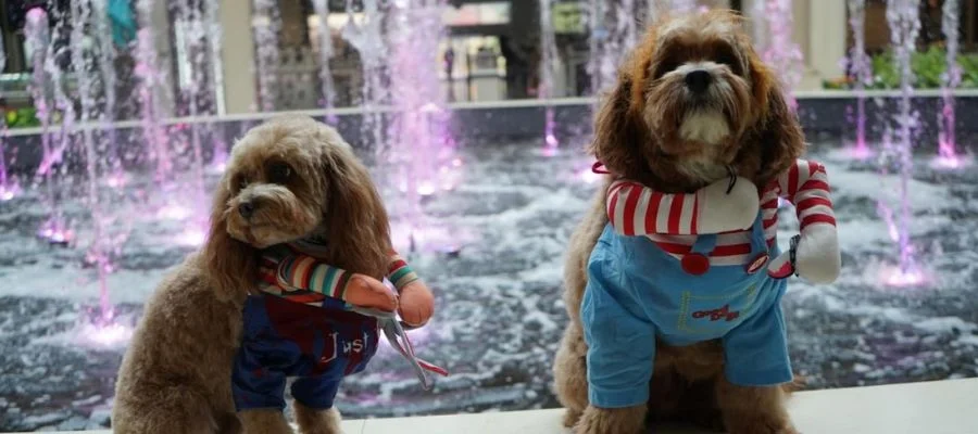 two dogs in costumes at the Abt fountain