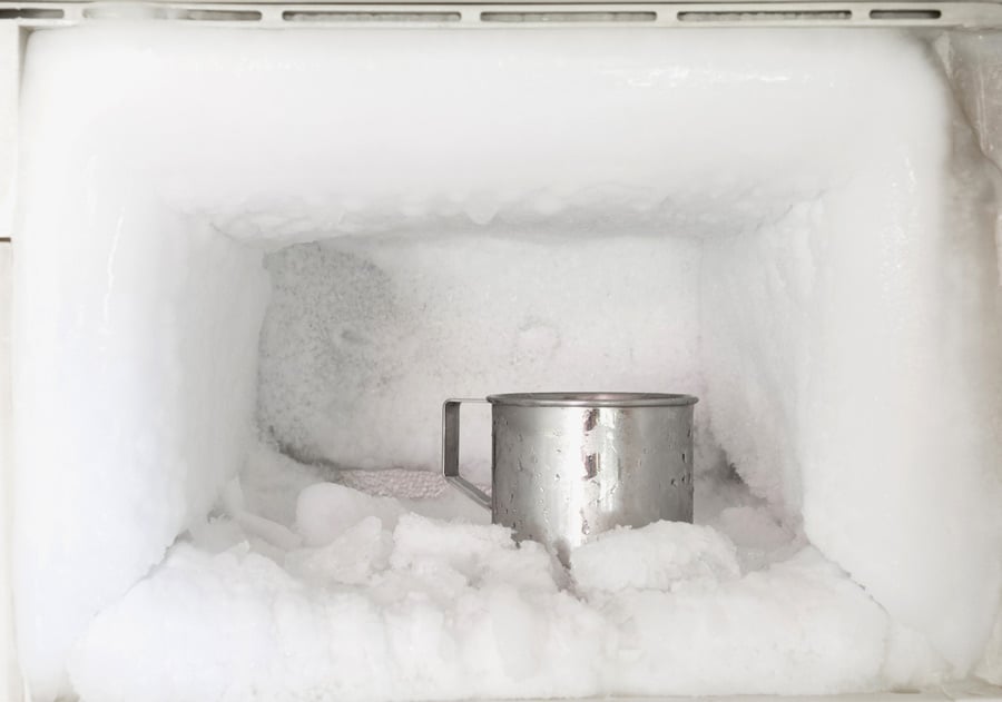 Freezer Burn