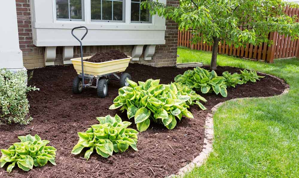 Home Garden