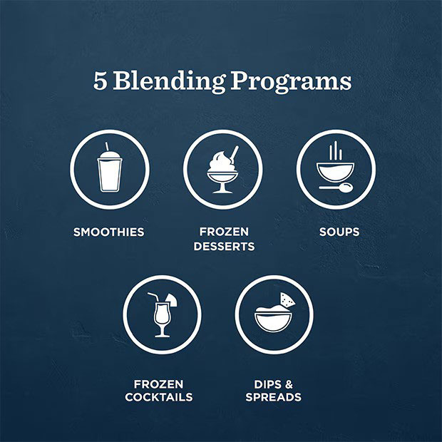 Programs View of Vitamix Blender