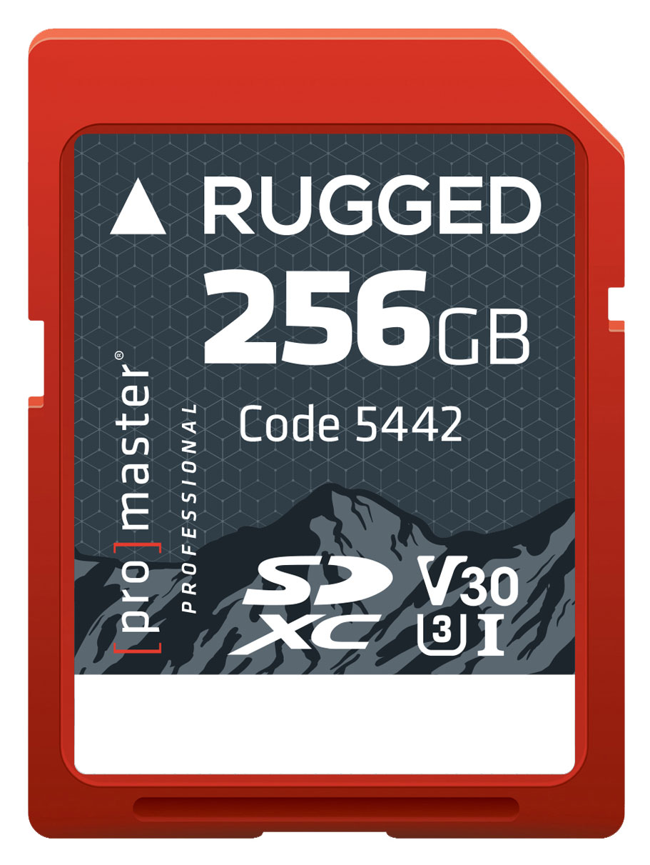 Front View of Memory Card