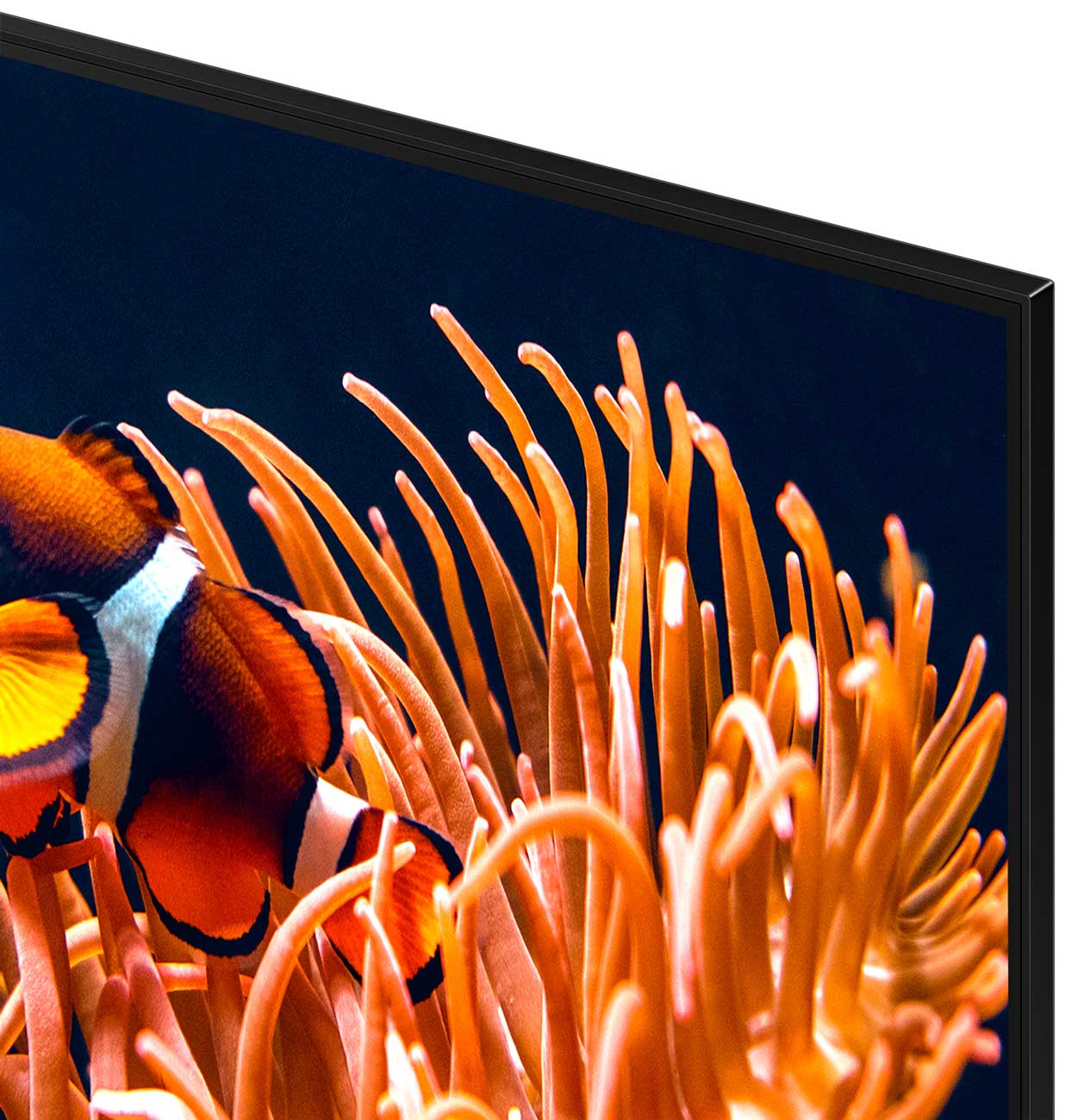 Close Up View Of The TV Bezel