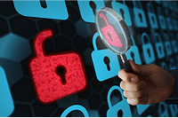 Pinpoint Vulnerabilities
