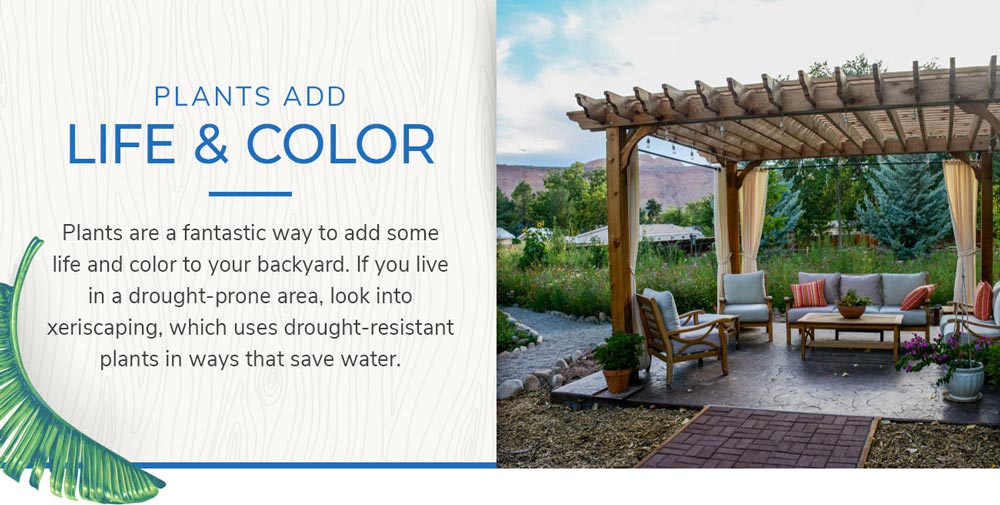 Plants Add Life & Color - Plants are a fantastic way to add some life and color to your backyard. If you live in a drought-prone area, look into xeriscaping, which uses drought-resistant plants in ways that save water.