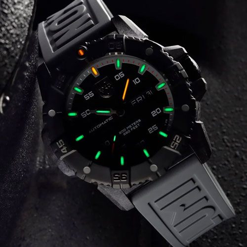 Luminox Watch