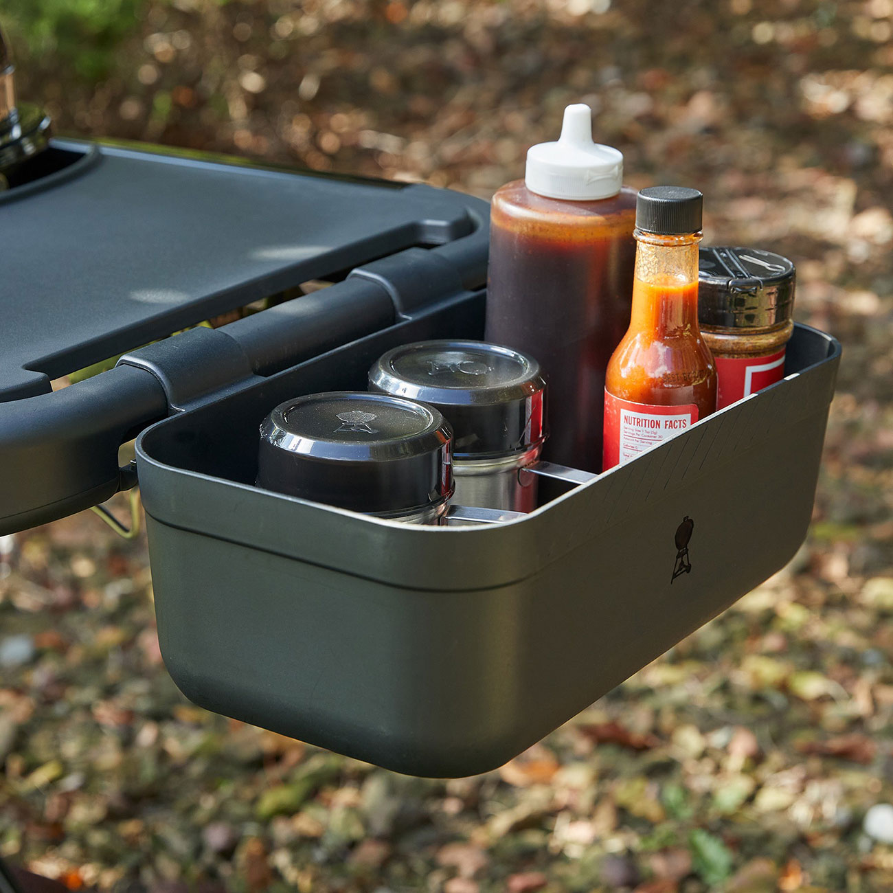 View of holder on Weber Traveler Portable Liquid Propane Gas Grill 