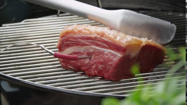 Watch Weber iGrill Pro Meat Probe