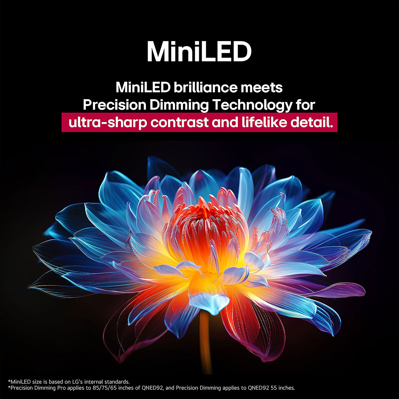 View Of Mini LED Backlight Feature