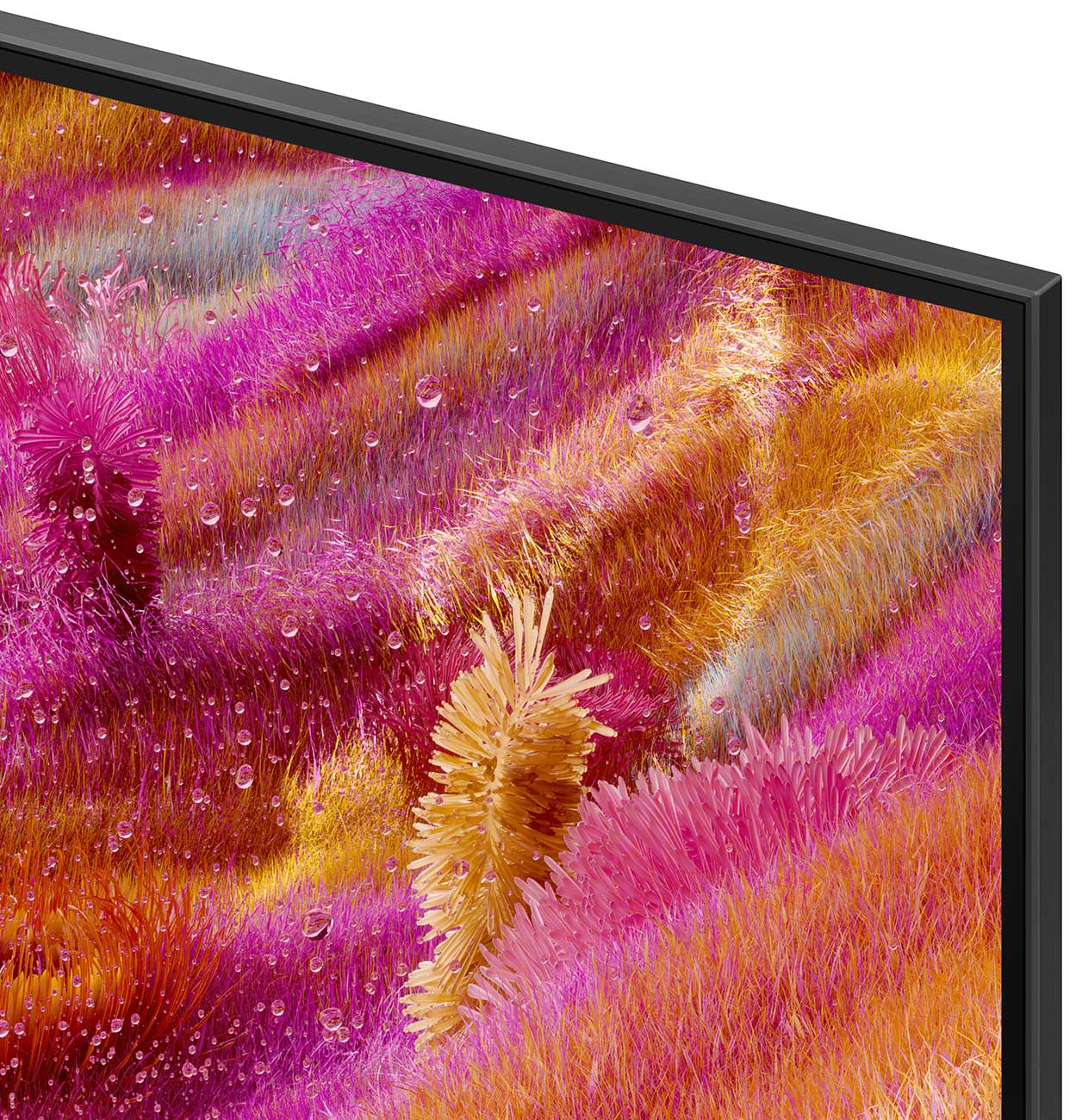 Close Up View Of The TV Bezel