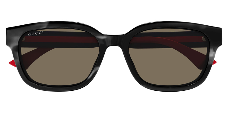 Gucci Sign Sunglasses 52mm with Brown Lenses - GG1872SK-004 display picture 1