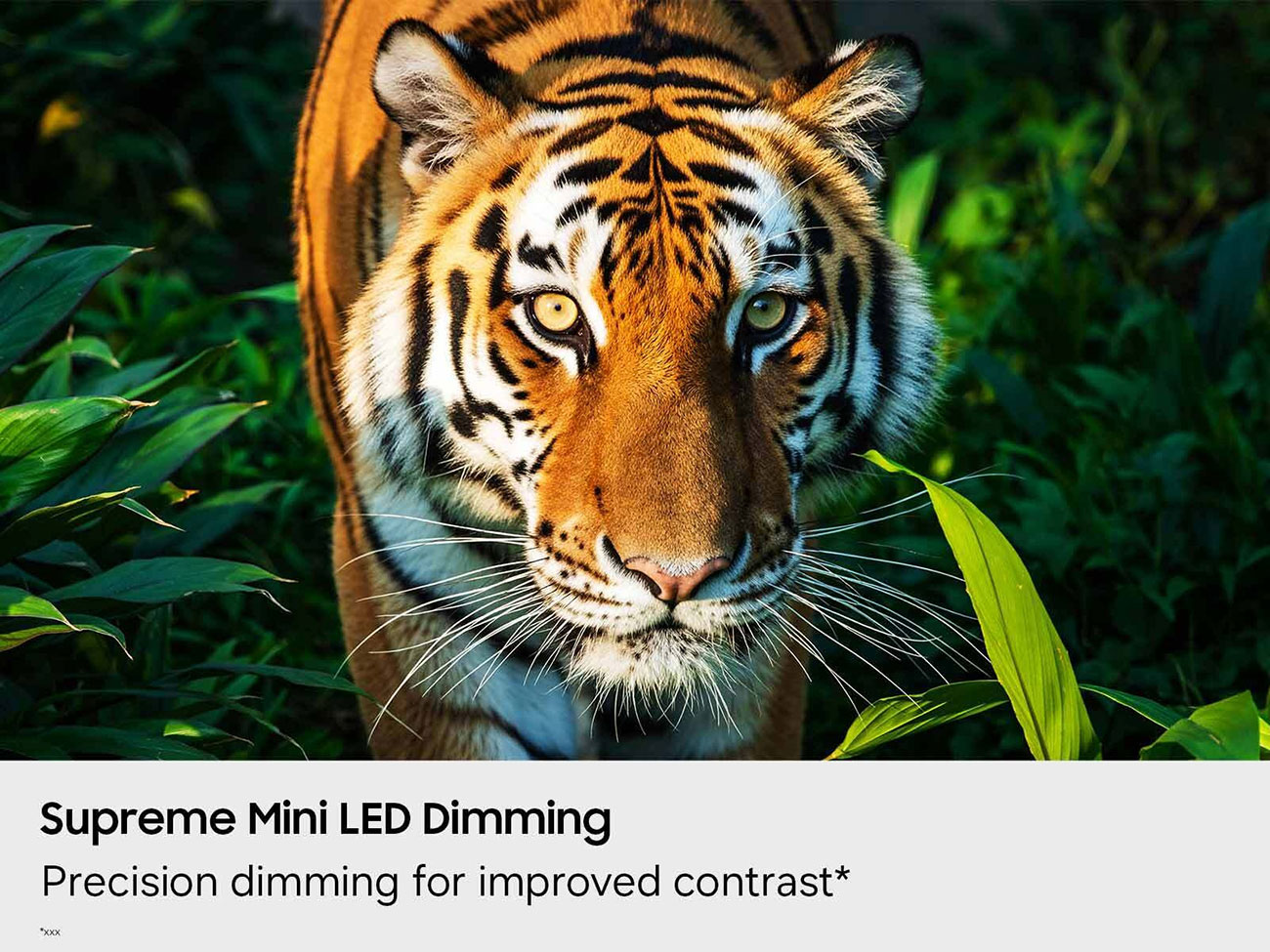 Infographic View of Samsung TV