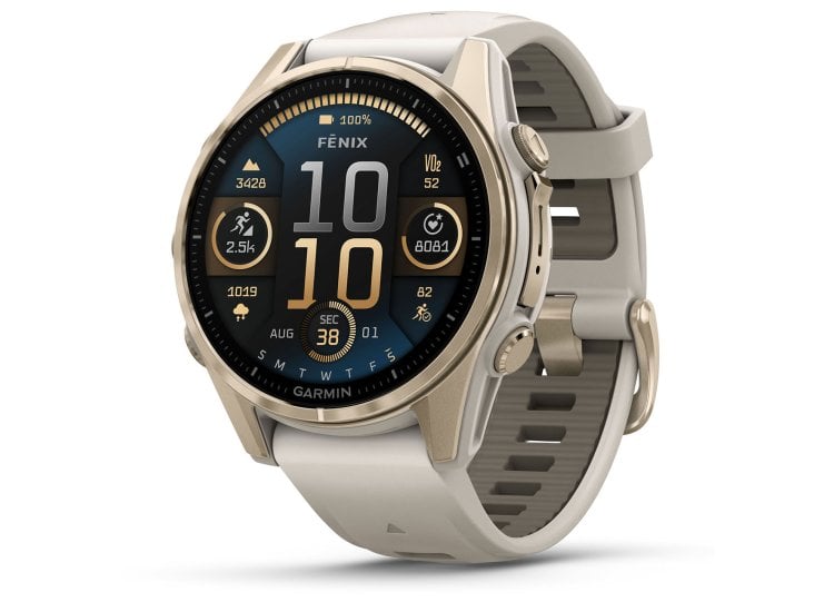 Garmin fenix Smartwatch 43mm Gold/Fog Gray 010-02903-10