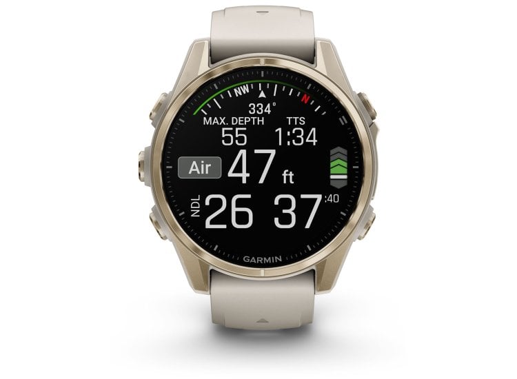 Garmin fenix Smartwatch 43mm Gold/Fog Gray 010-02903-10