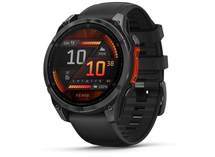 Garmin fenix Smartwatch 47mm Slate Gray/Black 010-02904-00