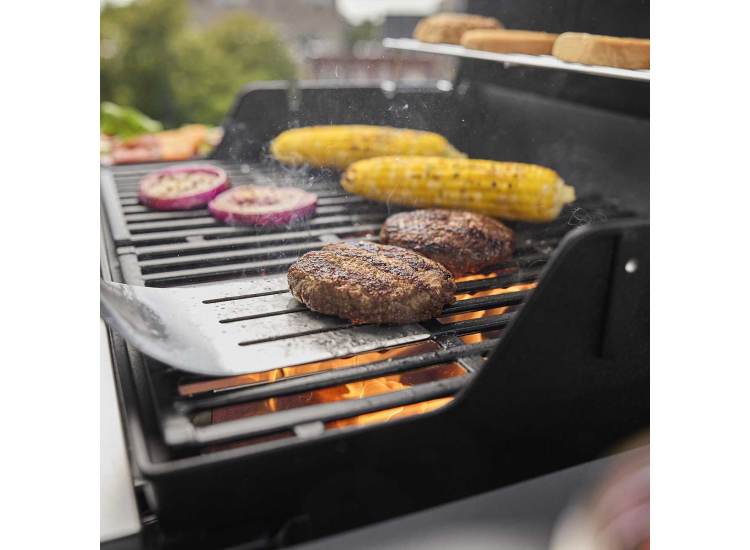 Weber Spirit E-210 Liquid Propane Gas Grill in Black - 1501000
