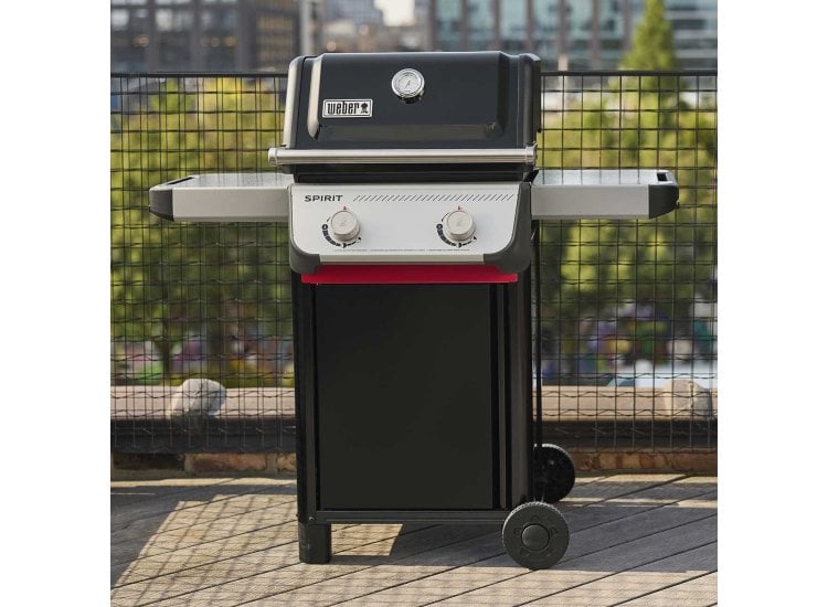Burner Grill Weber E210 Review Weber Spirit E-210 2-Burner Gas Grill —