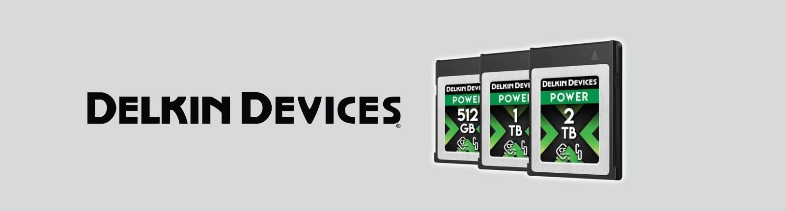 Various Delkin Memory cards in different sizes