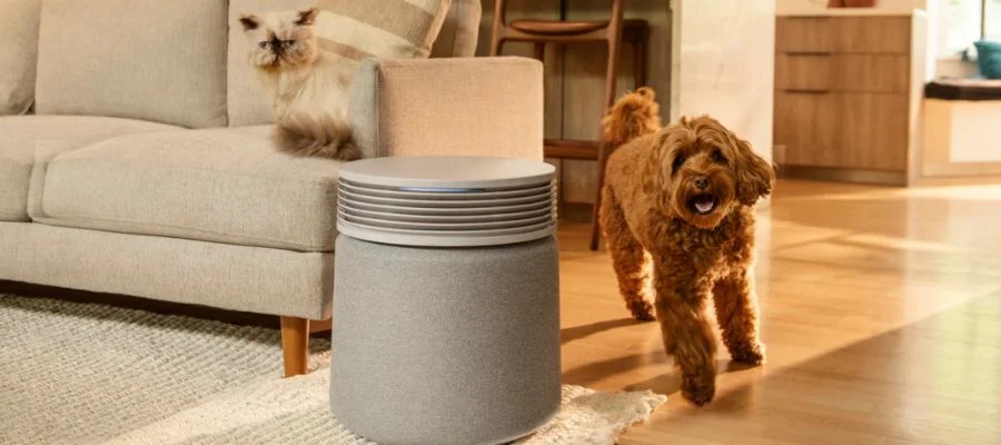 A cat on a sofa and a dog on the floor next to a large air purifier.