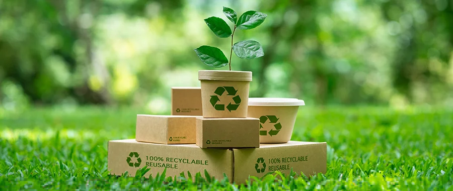 A stack of 100% recyclable cardboard boxes sitting in the grass with a green plant sitting on top